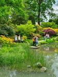 Zajęcia terenowe w Ogrodzie Japońskim