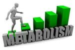 Zadania z zakresu metabolizmu podstawowego dla klasy 1D4